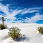 White Sands