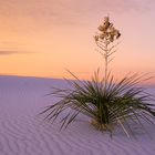 White Sands