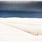 White Sands ....