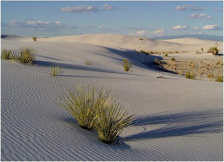 White sands