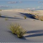 White sands