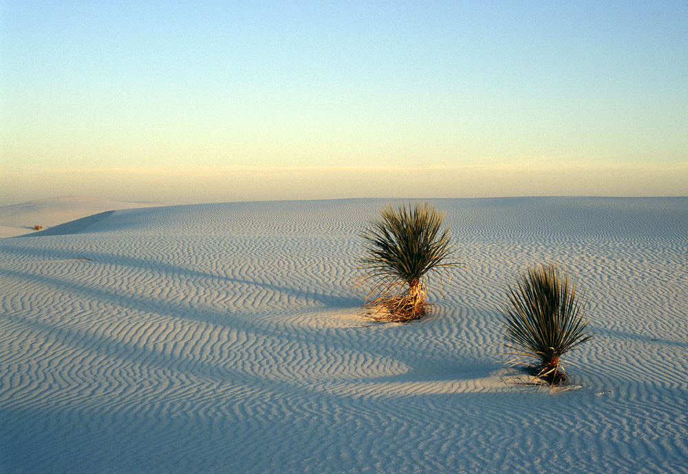 White Sands