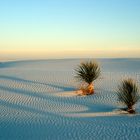 White Sands