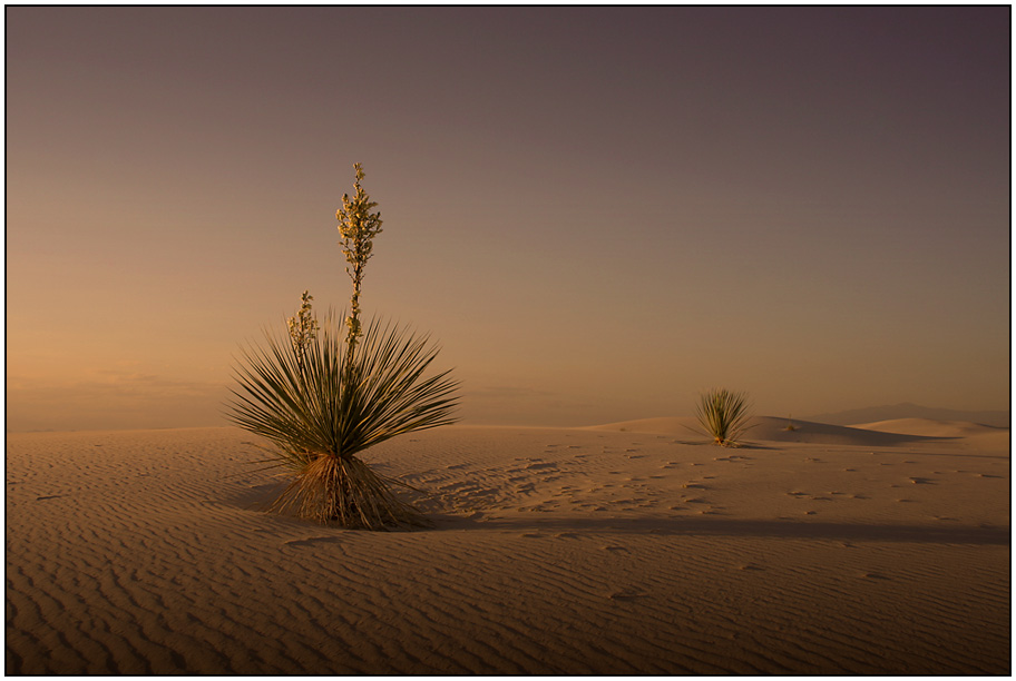 White Sands einmal anders