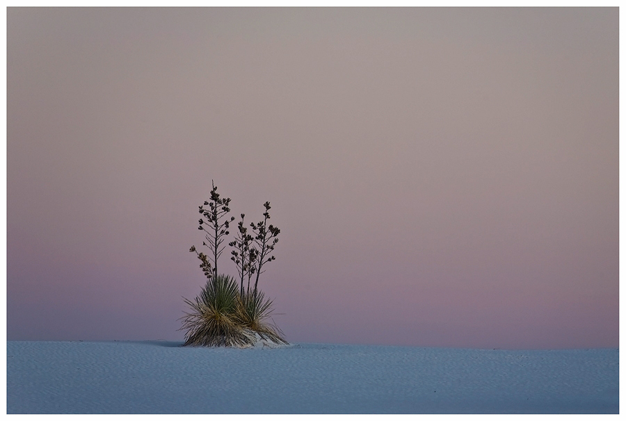 White Sands