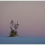 White Sands