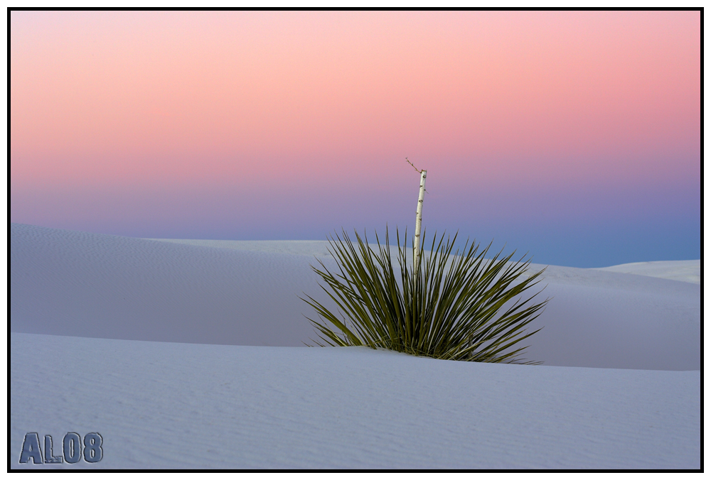 White Sands²