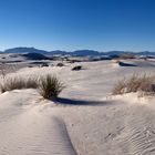 White Sands Foto Session