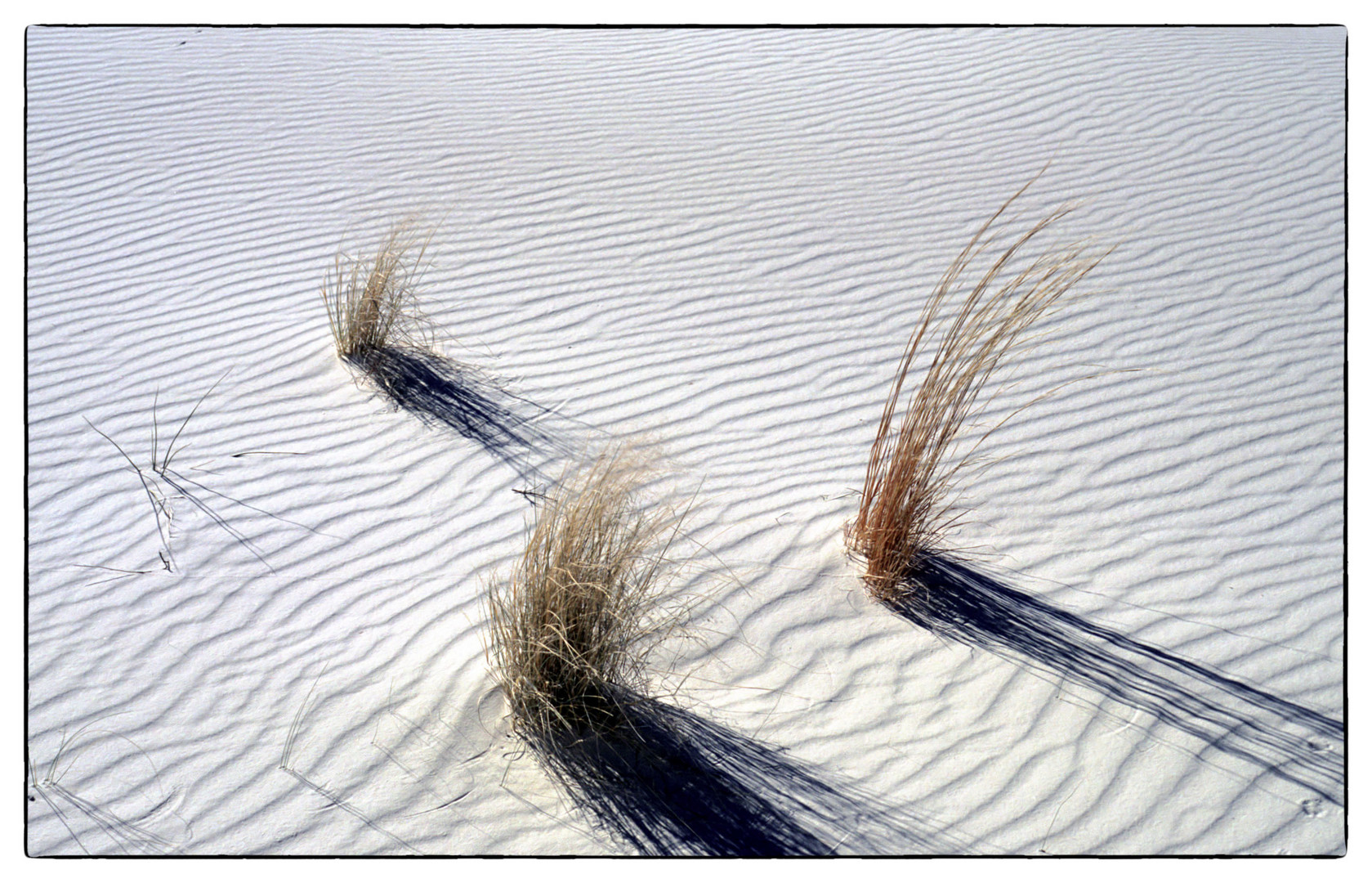 White Sands (Gipswüste)