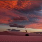 white sands in rosa