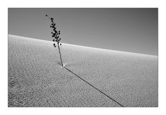 White Sands in S&W