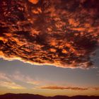 White Sands Missel Range, NM - 1989