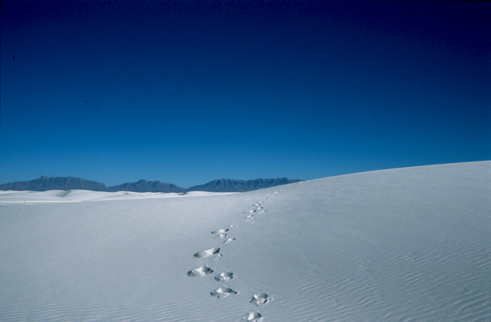 White Sands Nat. Monument, NM - 1989