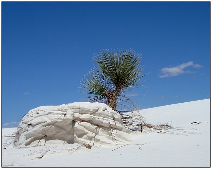 white sands national monument (2)