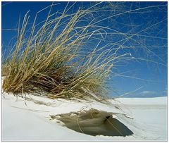 white sands national monument