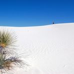 White Sands National Monument..