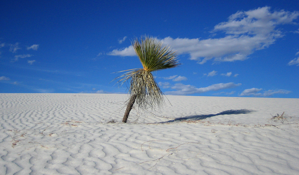 White Sands National Monument