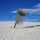 White Sands National Monument