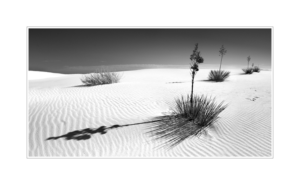 White Sands National Monument