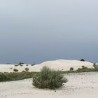 White Sands National Monument