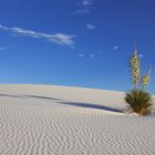 White Sands National Monument