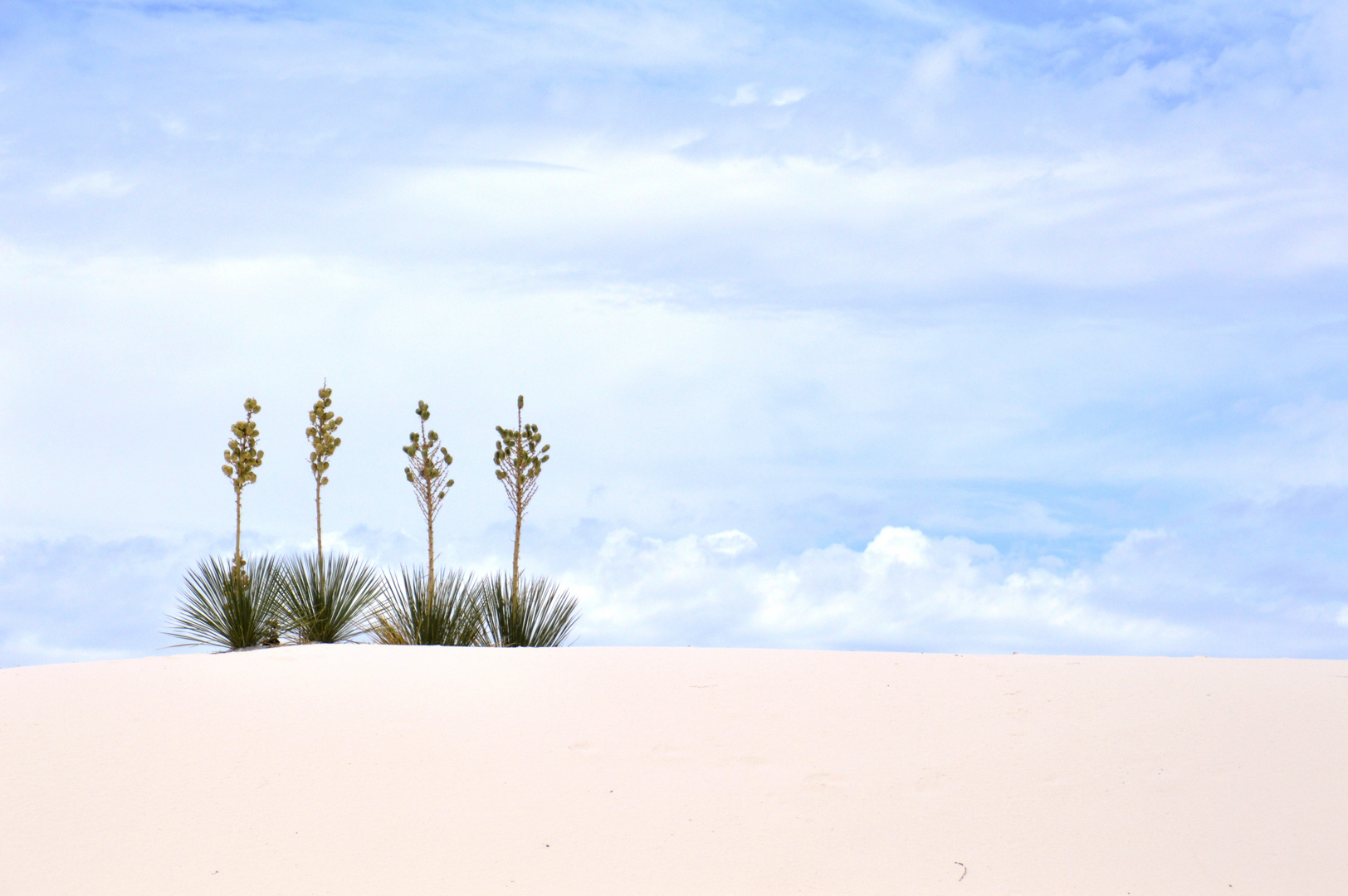 White Sands National Monument (White Sands National Park)