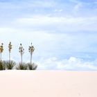White Sands National Monument (White Sands National Park)