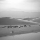 White Sands National Park