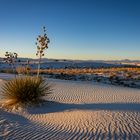 White Sands National Park (USA)