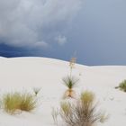 White Sands Nationalpark