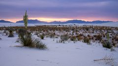 White Sands, New Mexico