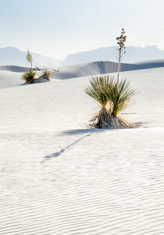 White Sands, New Mexico