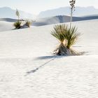 White Sands, New Mexico