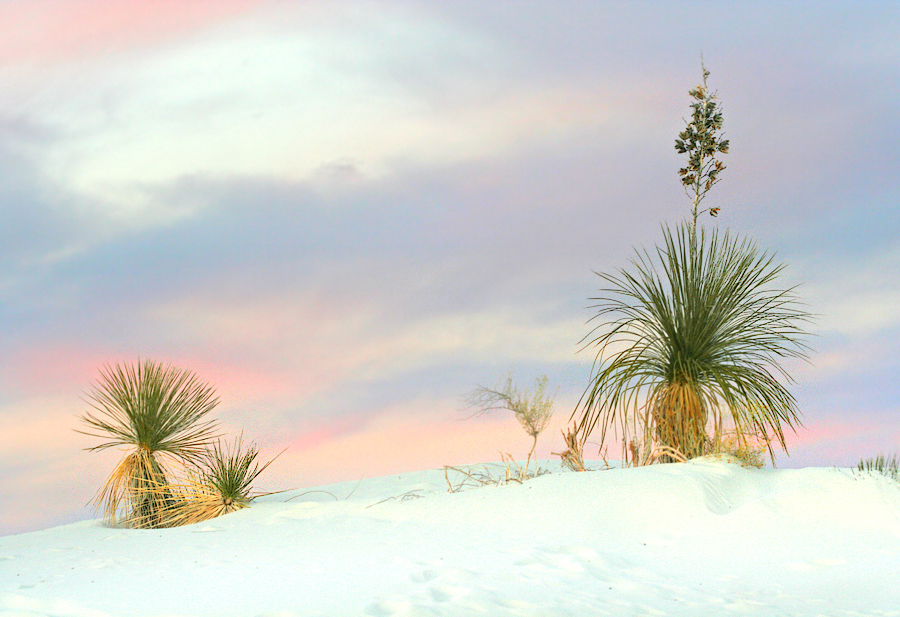 White Sands NM 2.