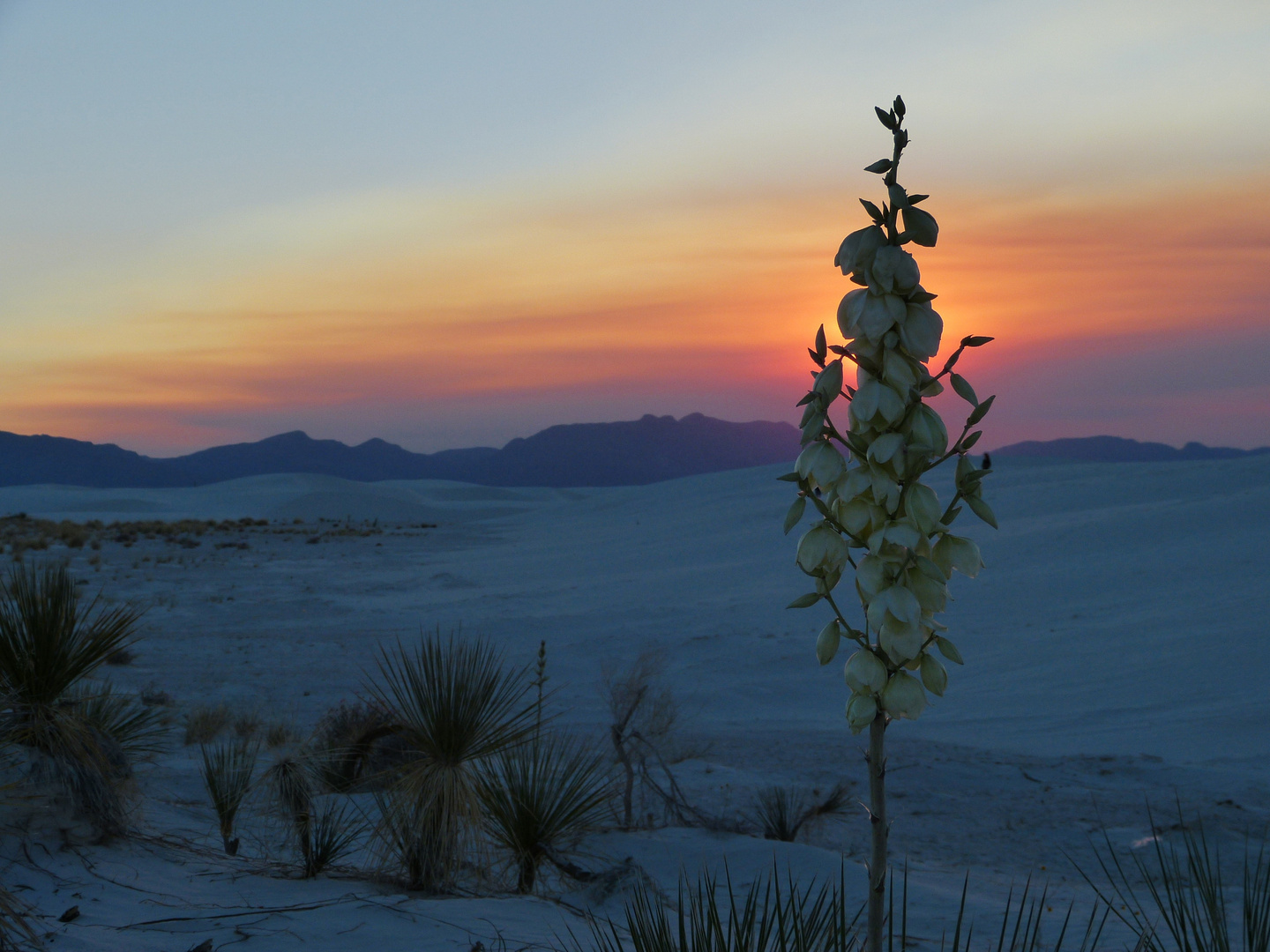 White Sands NM