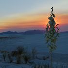 White Sands NM