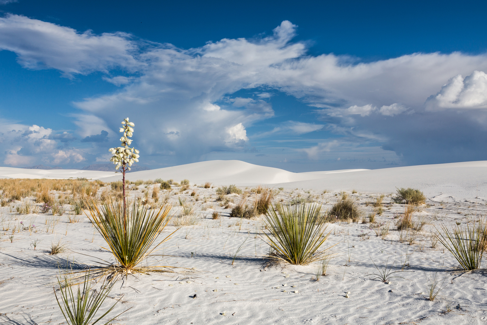 White Sands NM