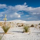 White Sands NM