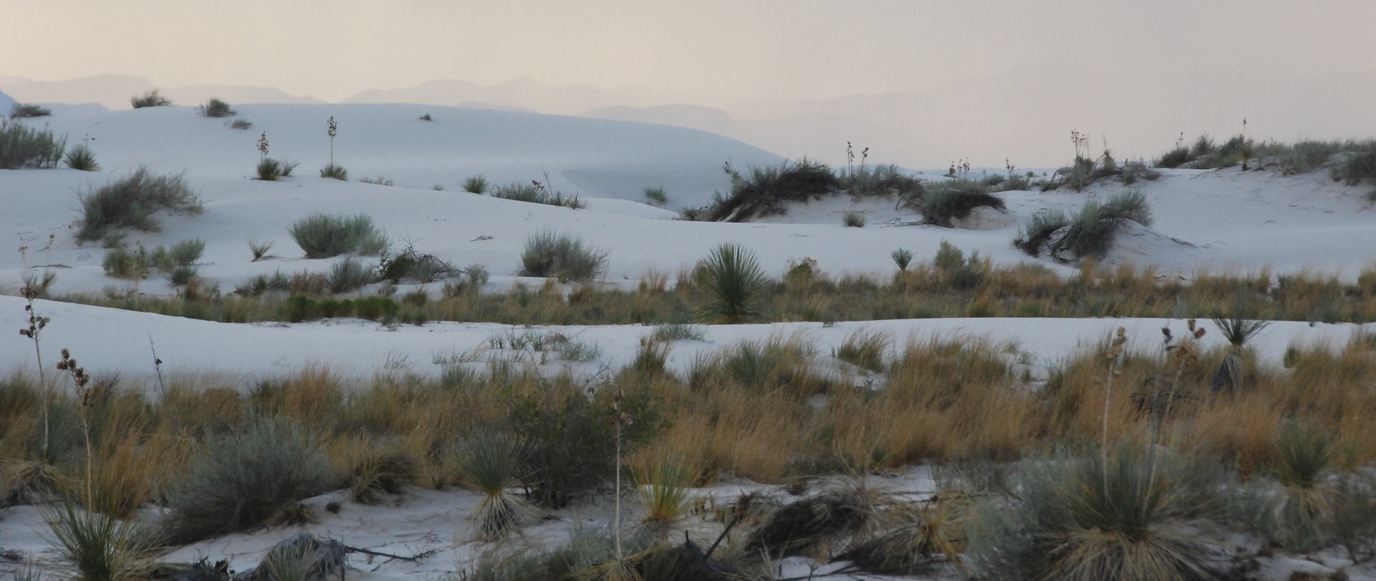 White Sands NM