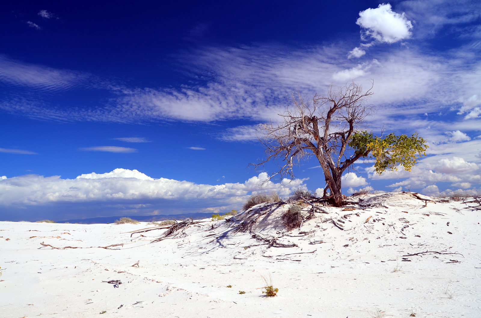 White Sands N.M.