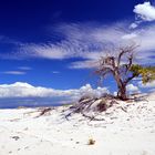 White Sands N.M.