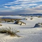 White Sands N.M.