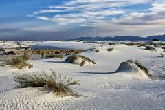 White Sands N.M.