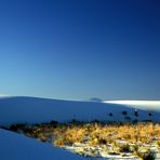 White Sands NM / Shadows