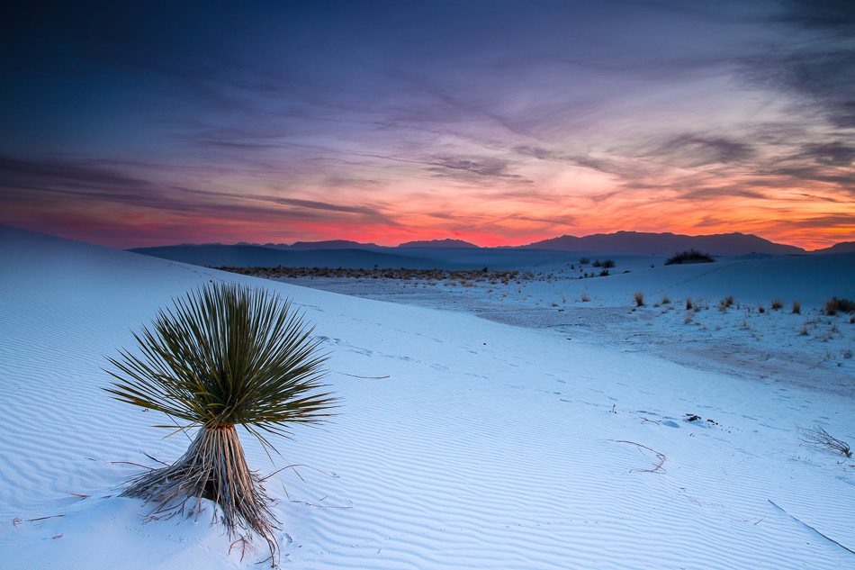 White Sands Red & Blue