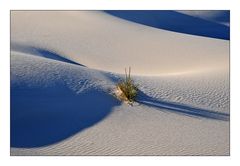 White Sands shadows