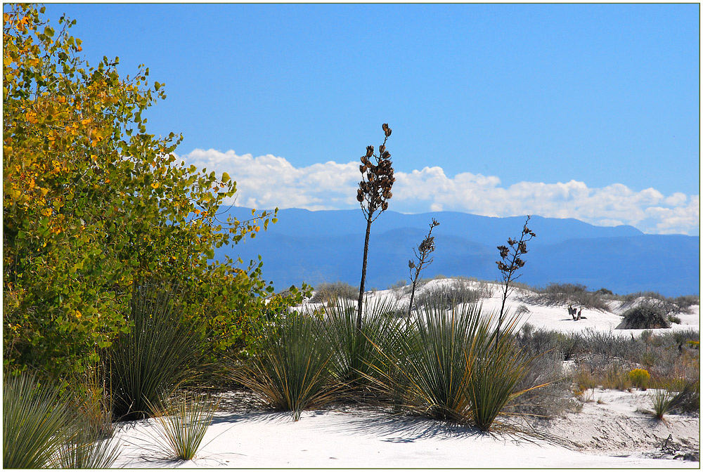 White Sands State Monument
