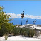 White Sands State Monument