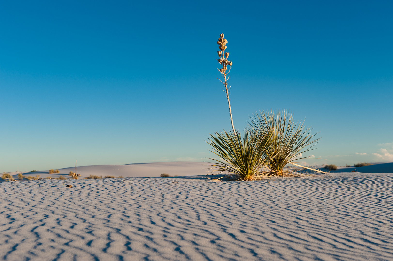 White Sands Sunset