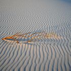 White Sands Sunset